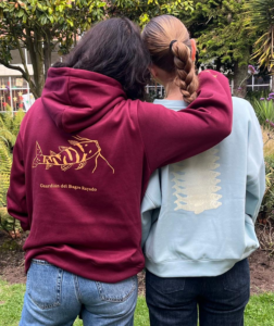 Hoodie Guardian de Bagre Rayado